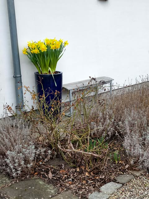 Villa – uppfräschning före